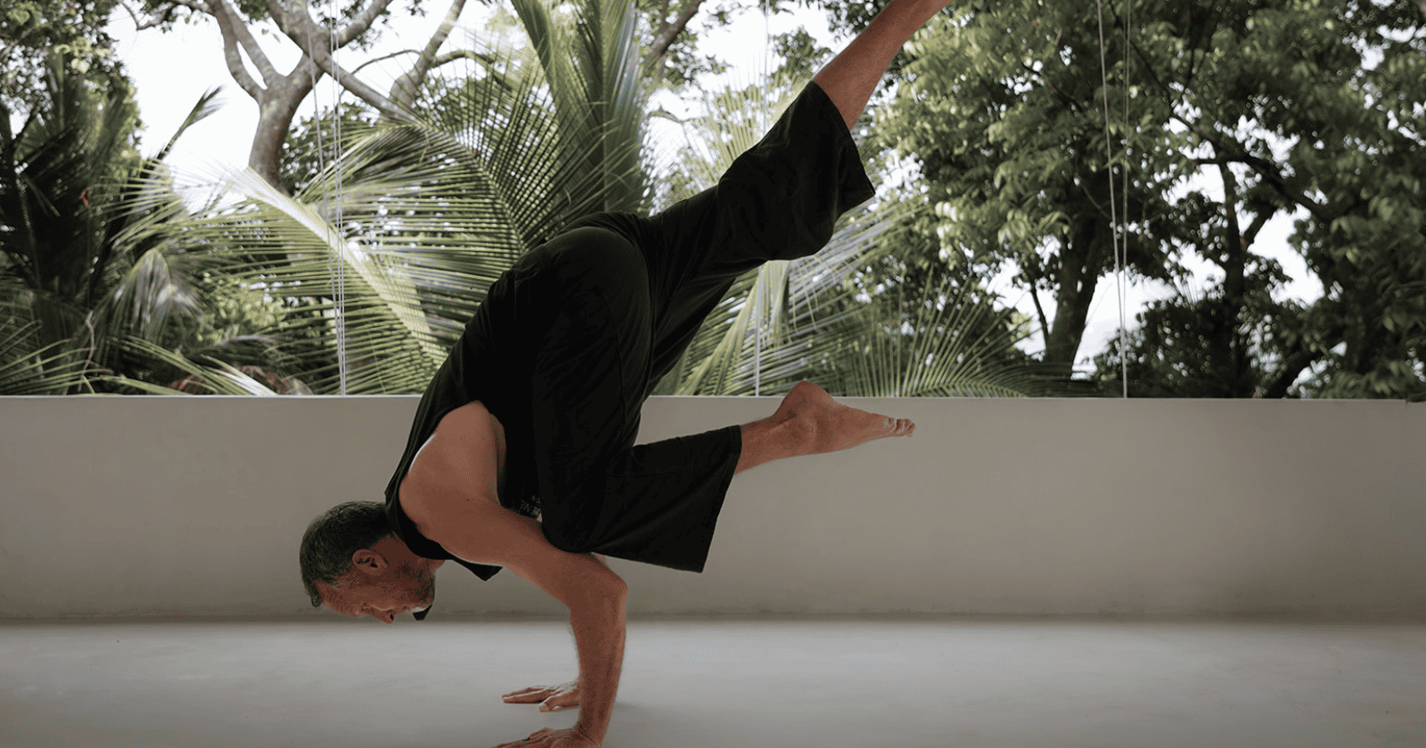 Taking Flight: Arm Balances with David Gorvett