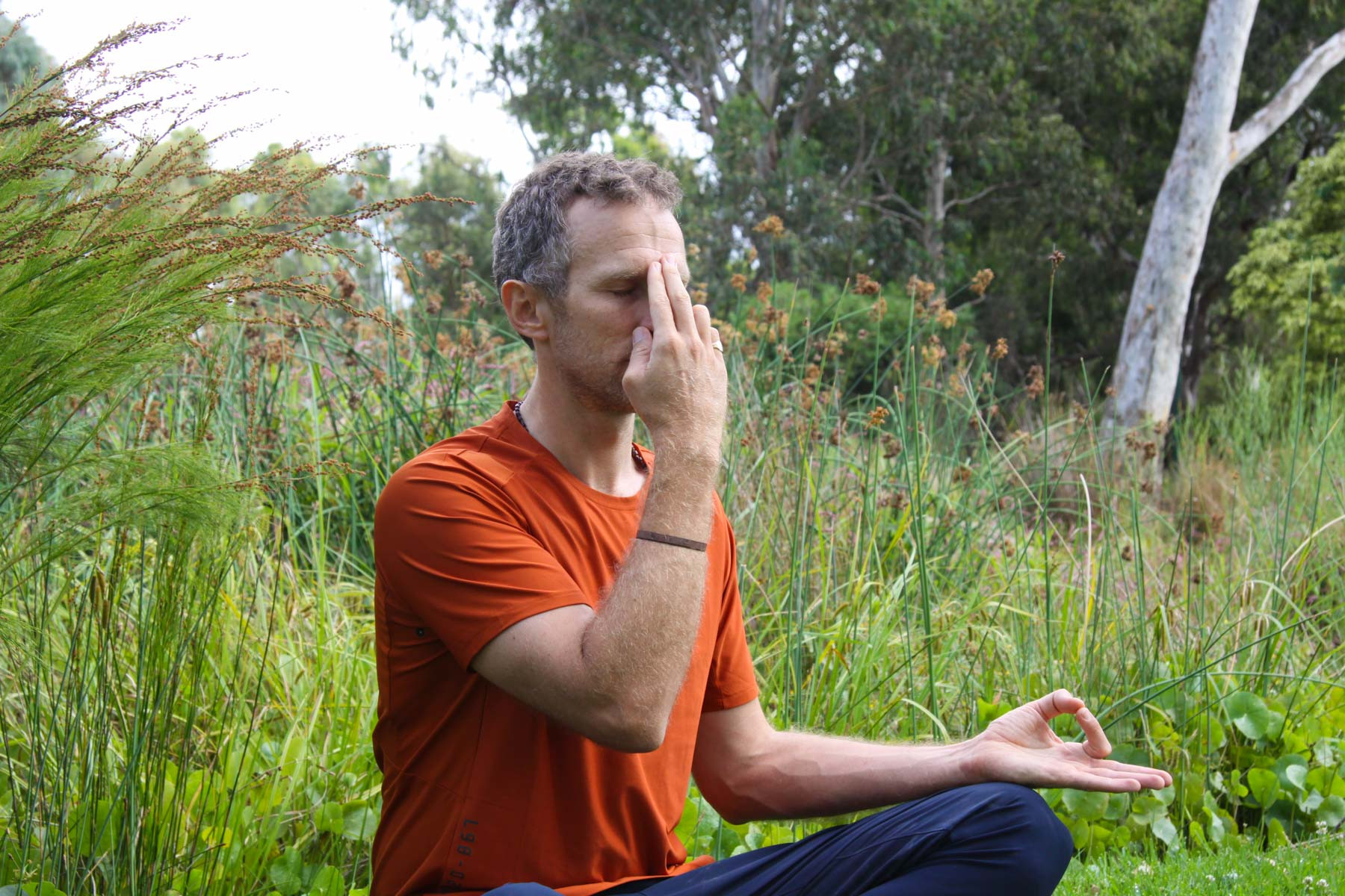 NYD Yoga in the Park