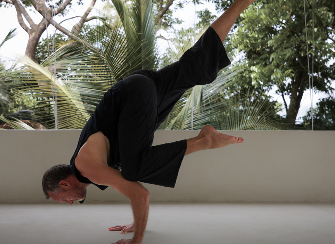 Taking Flight: Arm Balances with David Gorvett